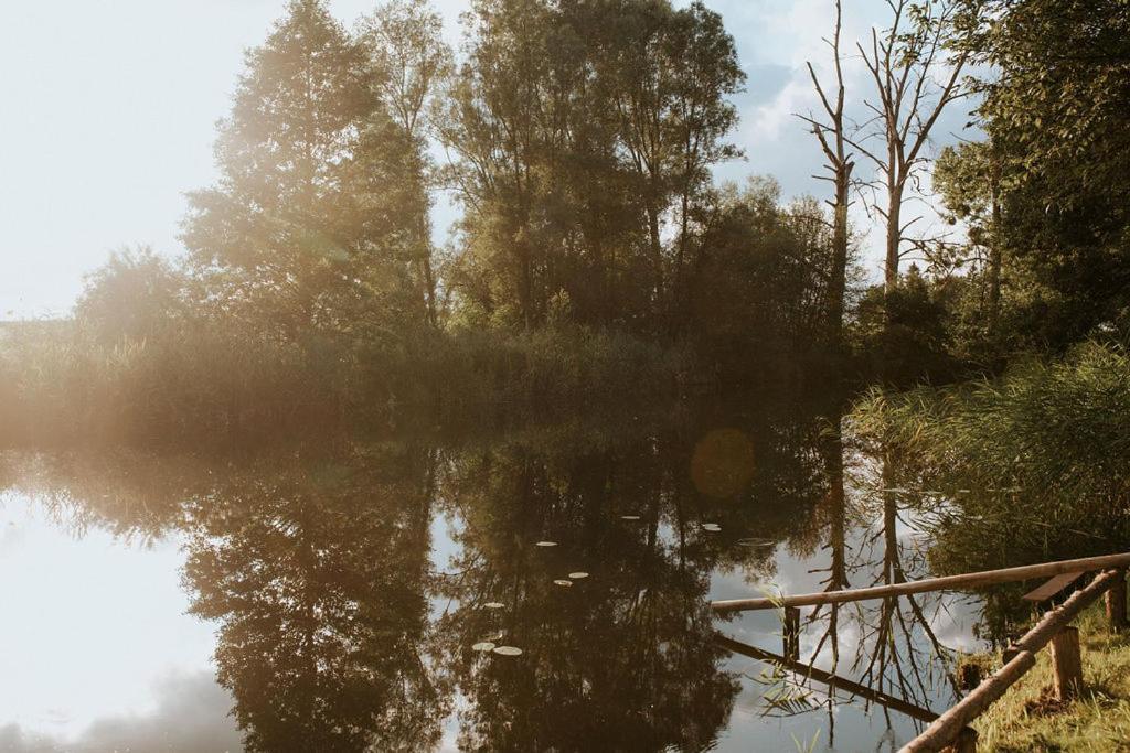 Dom Goscinny Sowia Stopka Miłomłyn Екстериор снимка