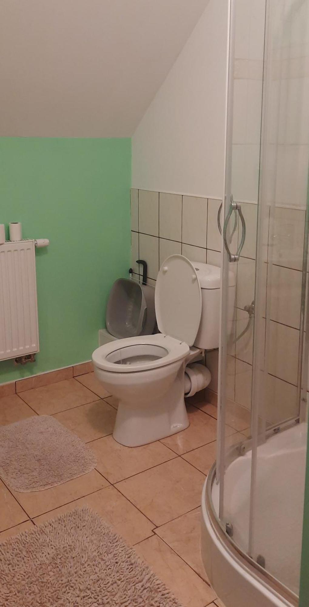 Dom Goscinny Sowia Stopka Miłomłyn Стая снимка